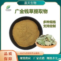 广金钱草提取物 广金钱草粉 高比例萃取 多种规格